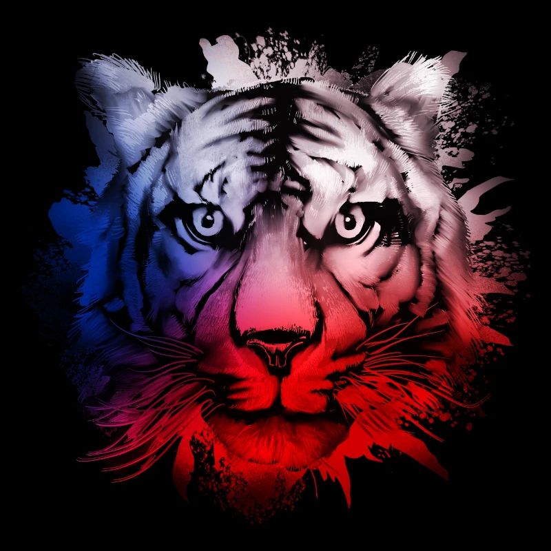 Tschechische Republik