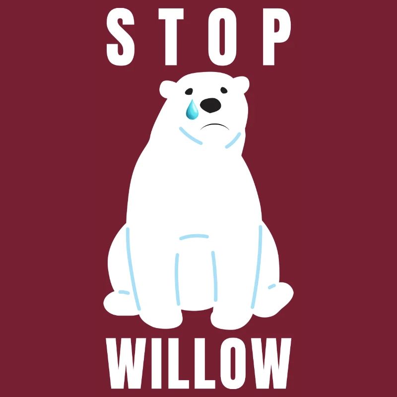 Willow Project