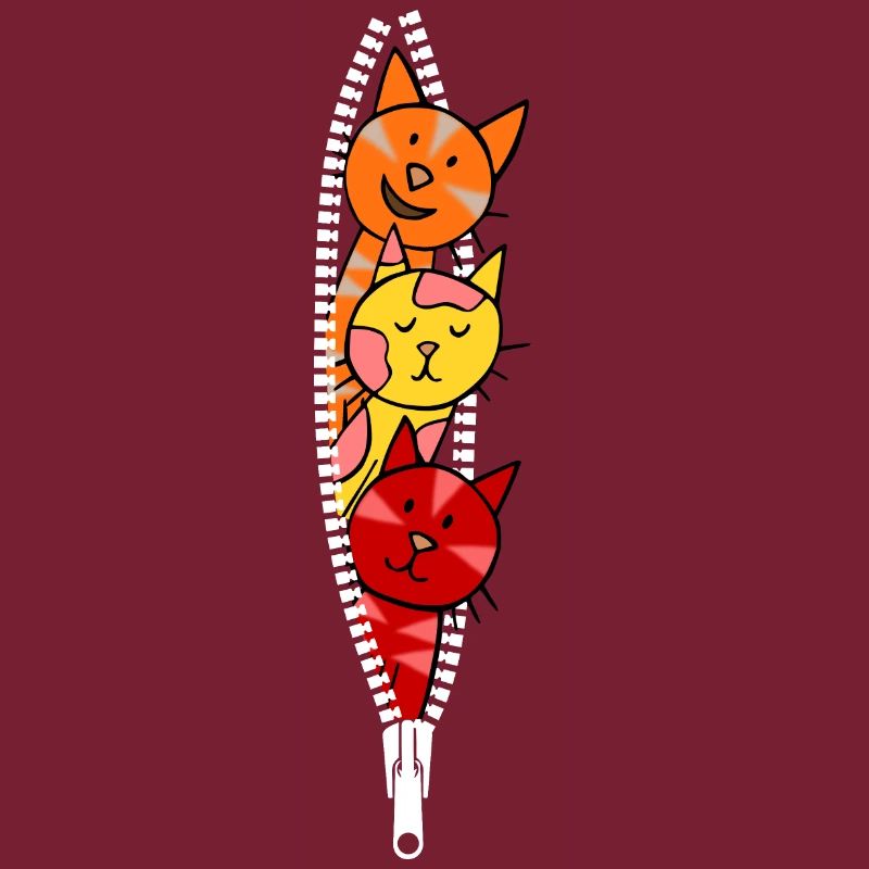 Cats look through a zipper