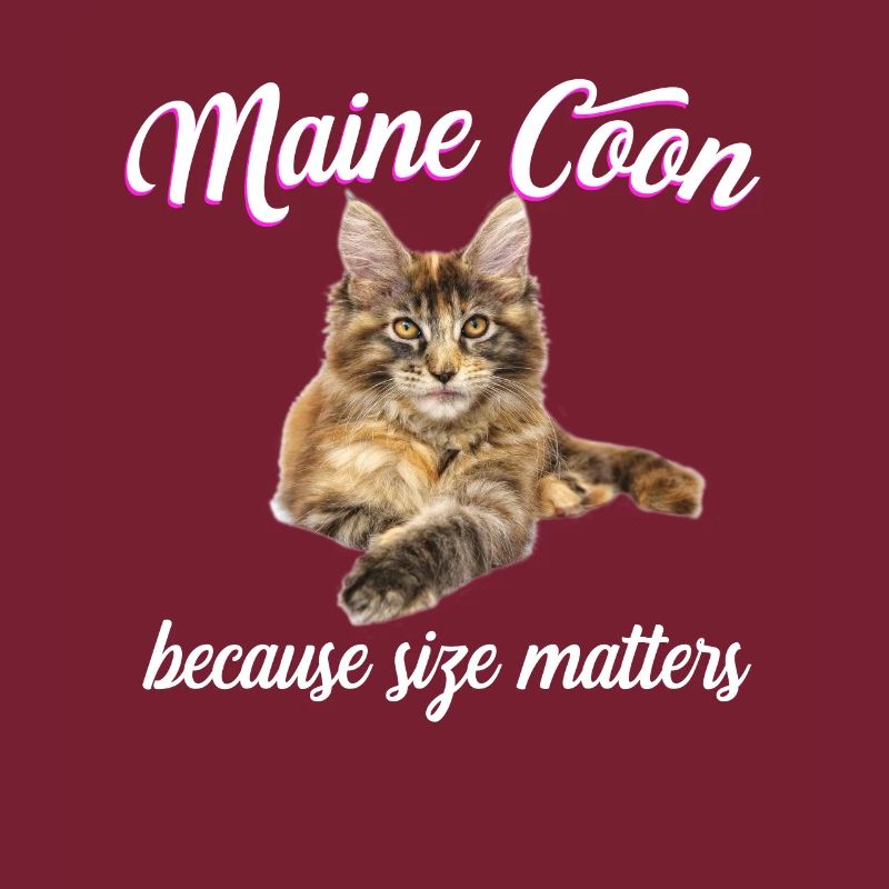 Maine Coon Cat Because Size Matters