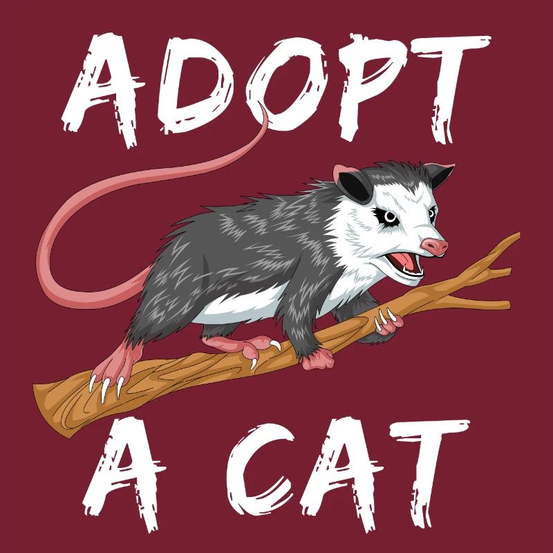 adopt a cat