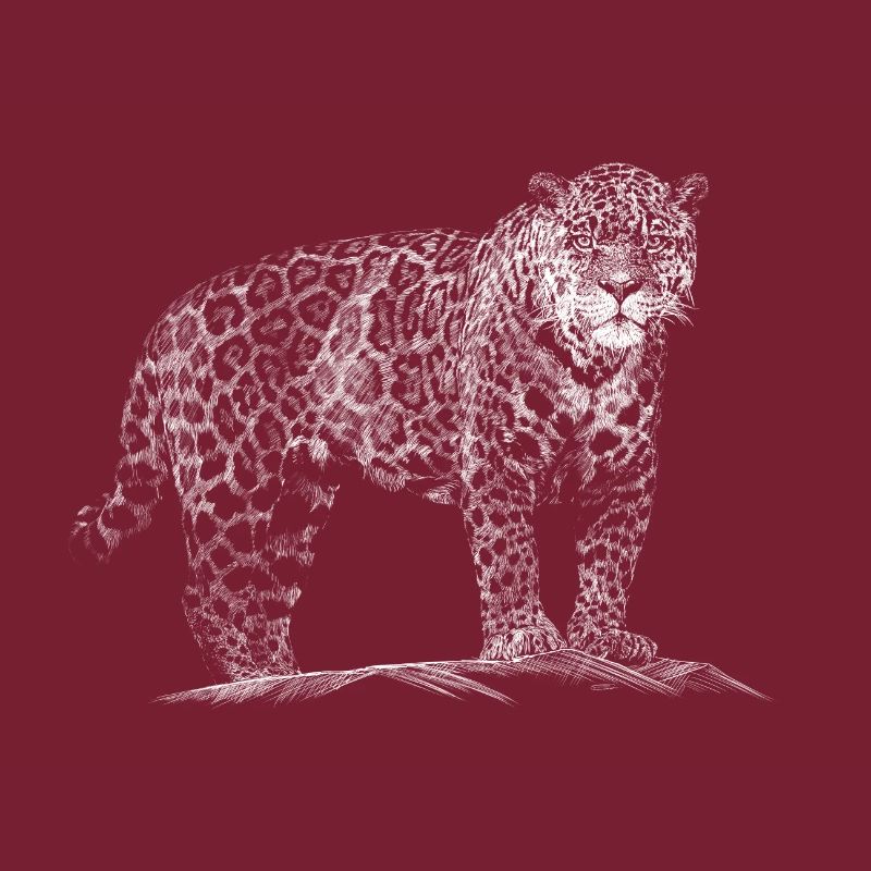 Léopard