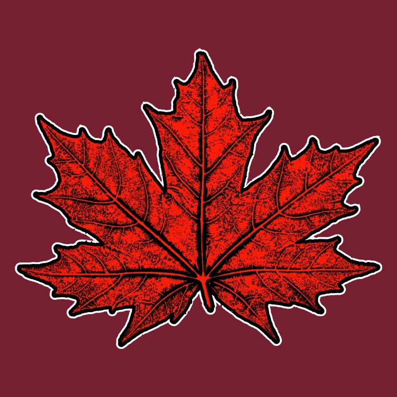 Maple / Leaf