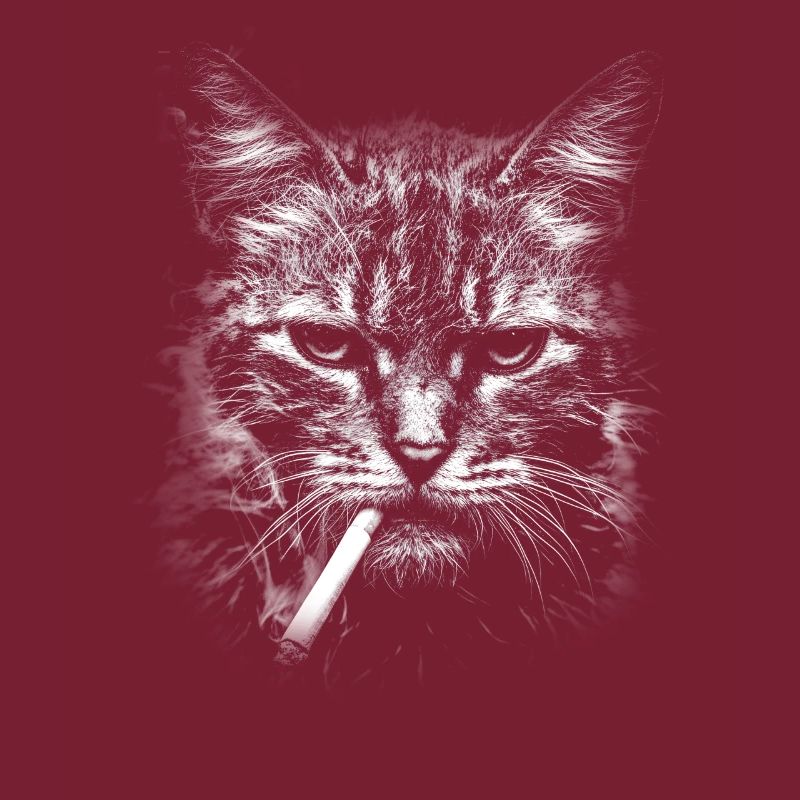 Rauchen, Zigarette, Katze raucht eine Zigarette
