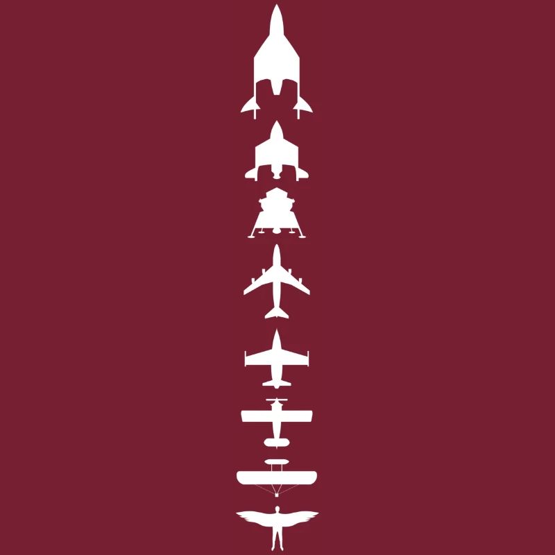 Evolution des Fliegens