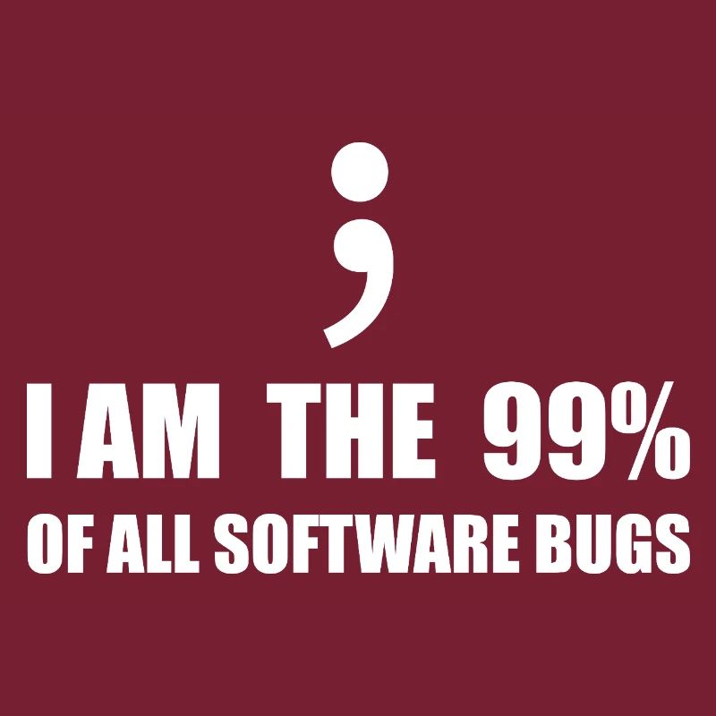 Programmeur Computer Scientist