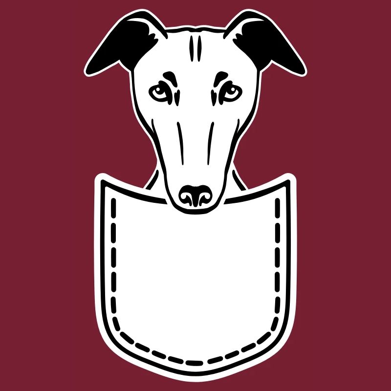 Whippet
