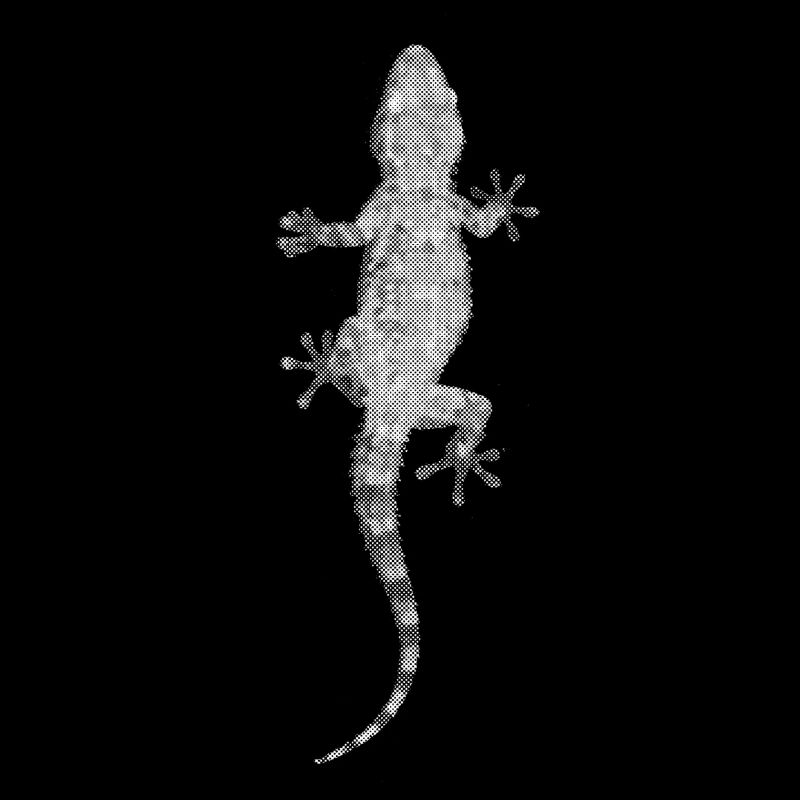 GECKO raster retro effect lizard animal crawls