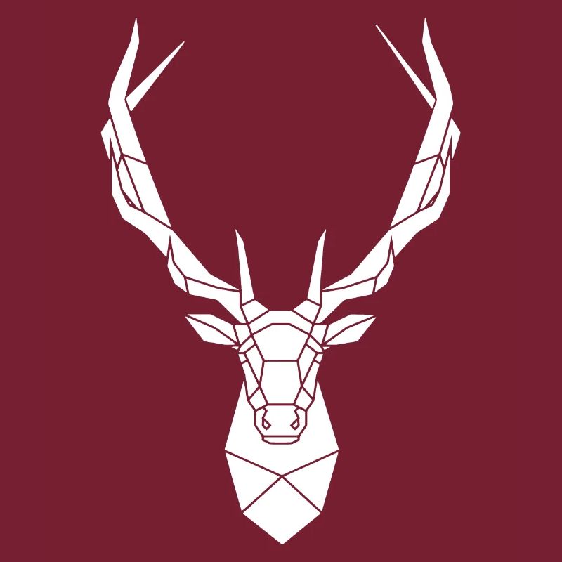 Poly Rotwild Hirsch Geweih