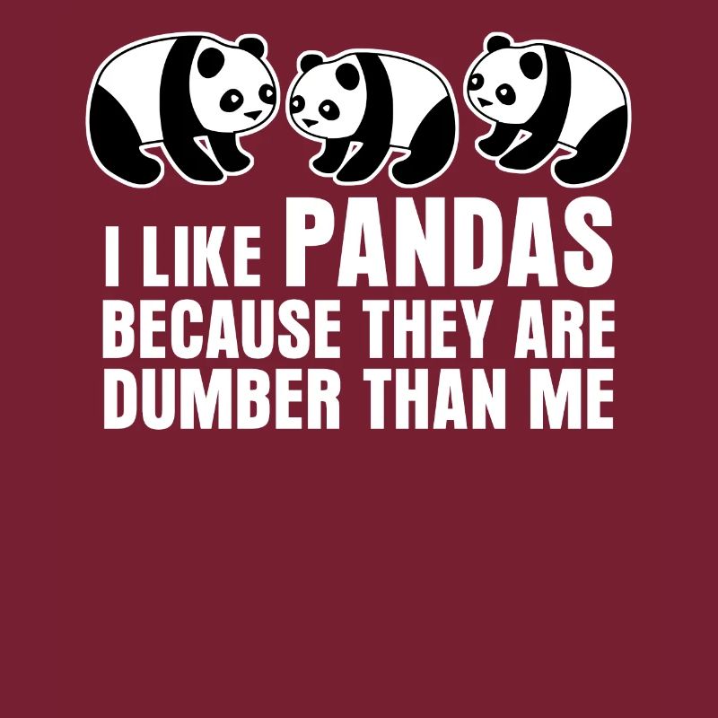 Panda Ours Pandas Panda Géant