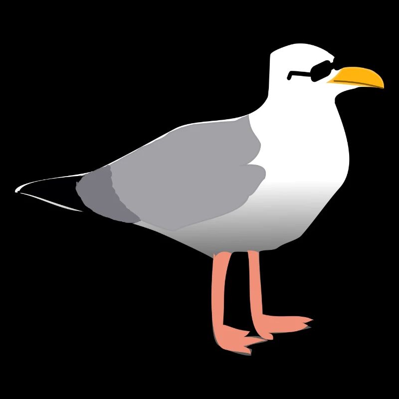 Coole Möwe