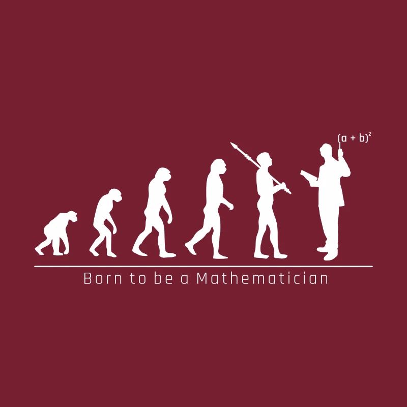 Evolution cadeau sympa mathématicien drôle