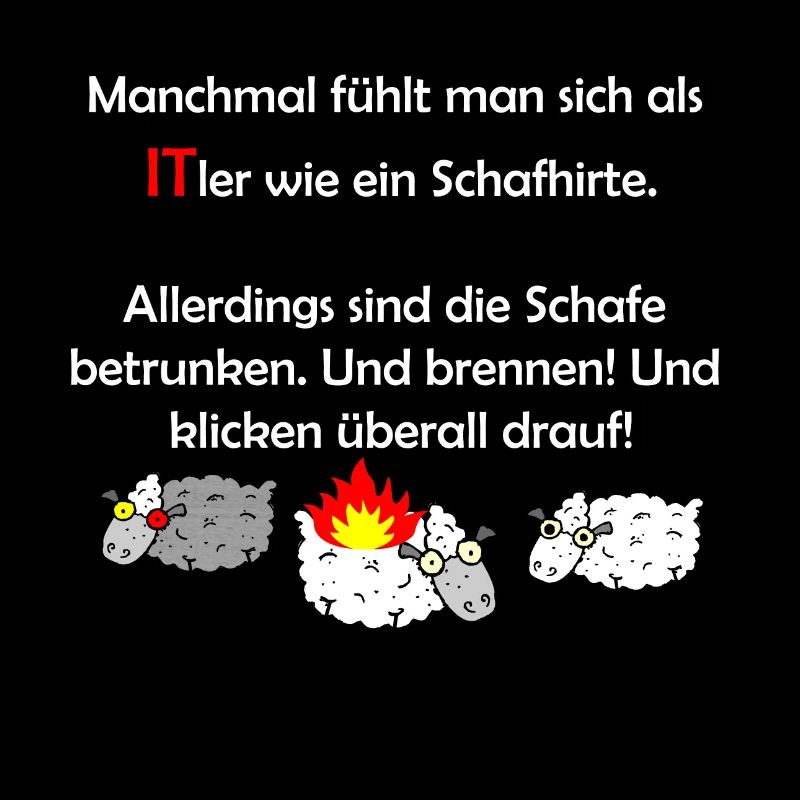Lustige Administrator Admin T-Shirt-Sprüche
