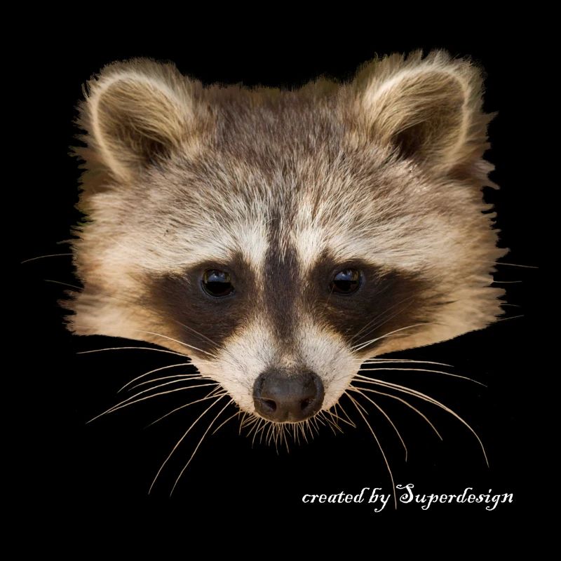 Waschbär