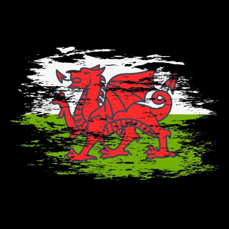 Drapeau du Pays de Galles utilisé