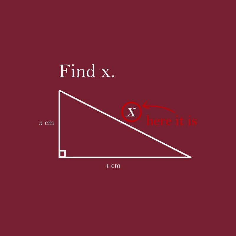 Finde X math Geschenk