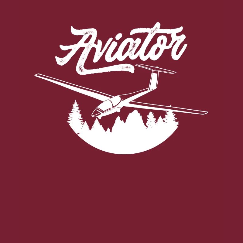 Pilot Segelflugzeug Kleinflugzeug Leichtflugzeug