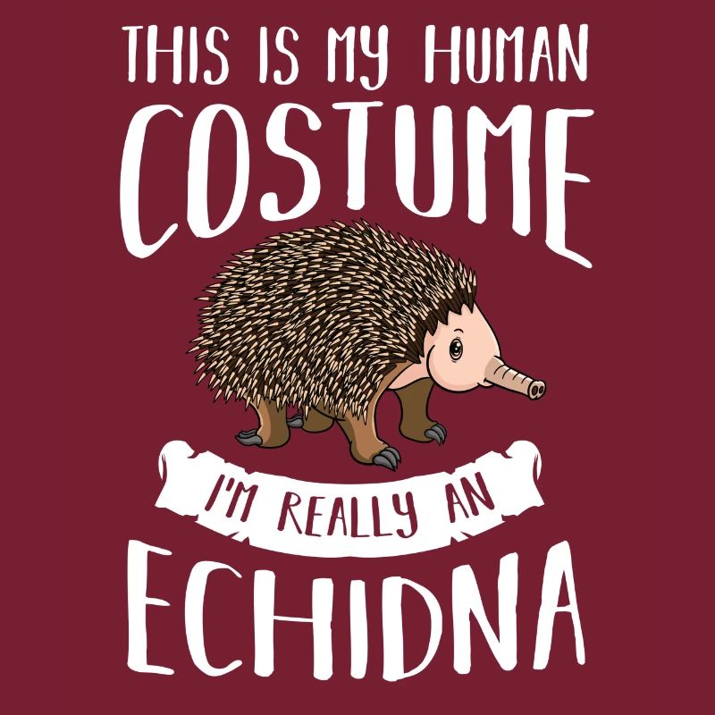 Echidna ameisenigel Schnabeligel Drôle de hérisson