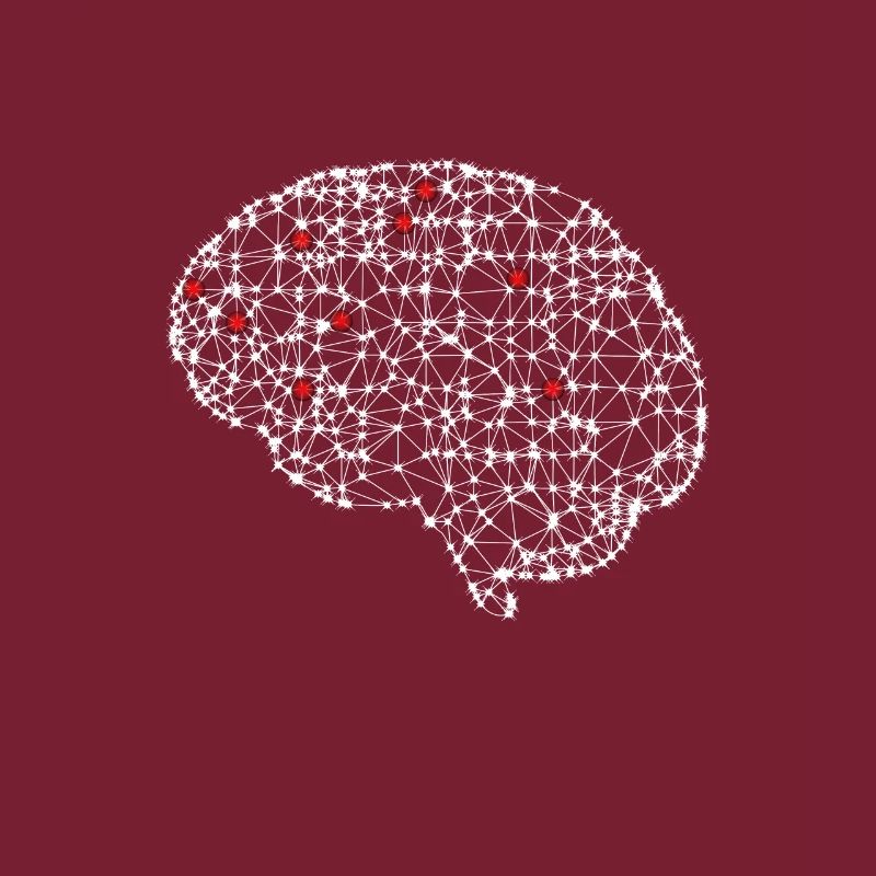 Nerd Network Brain Activity