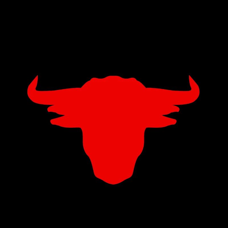 Stier Spanien Torero Stierkampf Rind