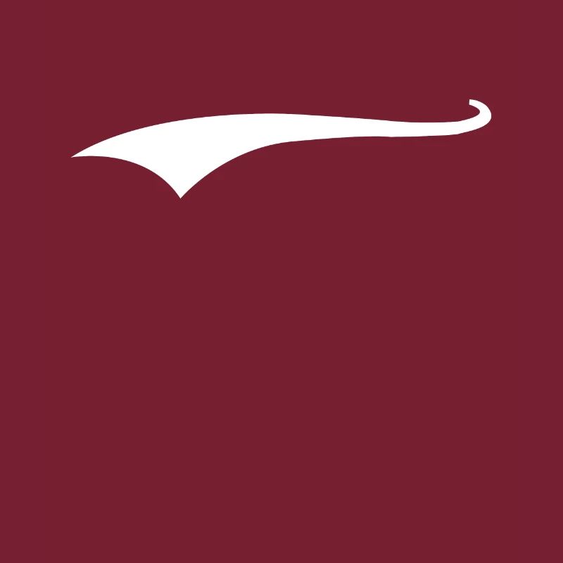 Swoosh underscore Swash