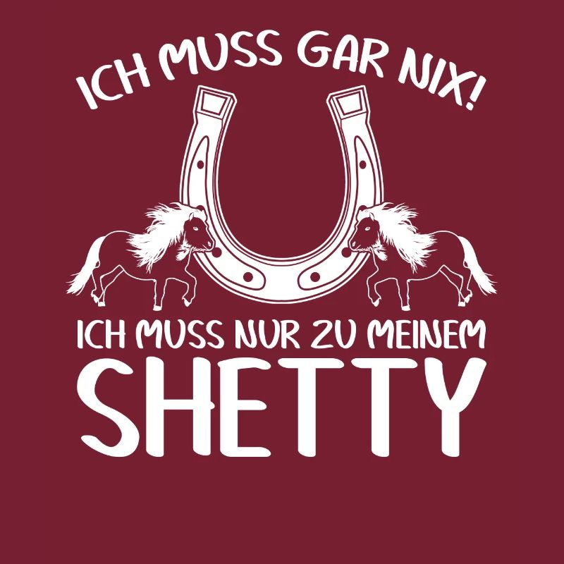 Shetty Pferd Shetland Ponys Shetlandpony