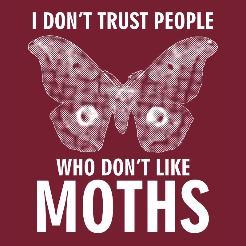 Motten Memes Motte