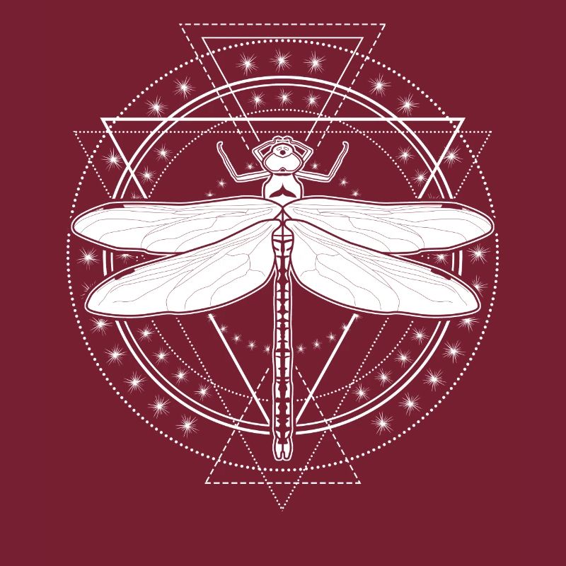 Libellule Occulte Libellules