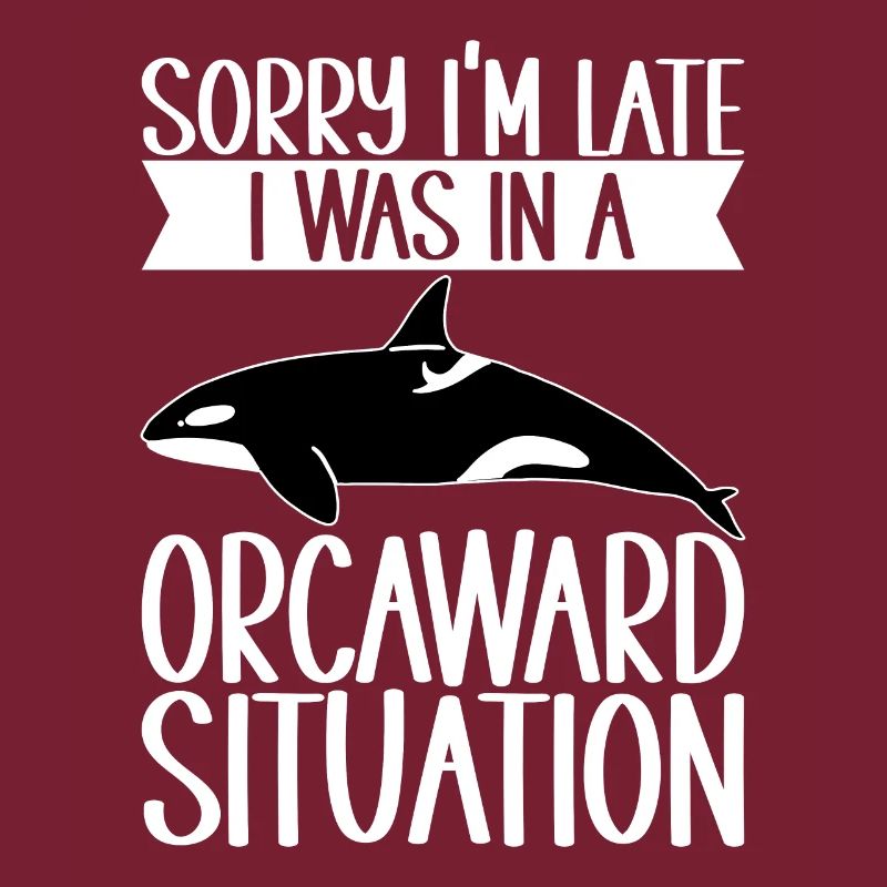 Wale Walbeobachter Orca