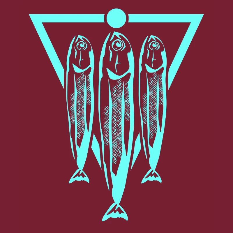 Sardine Herring Pêche Sardines Hareng