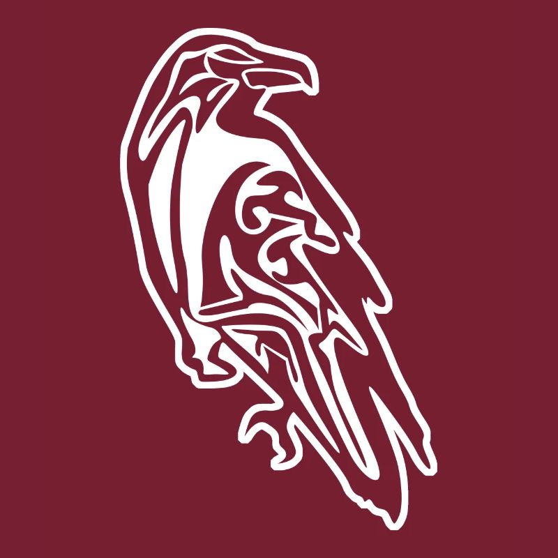 Raven Vikings Norsemen Ravens