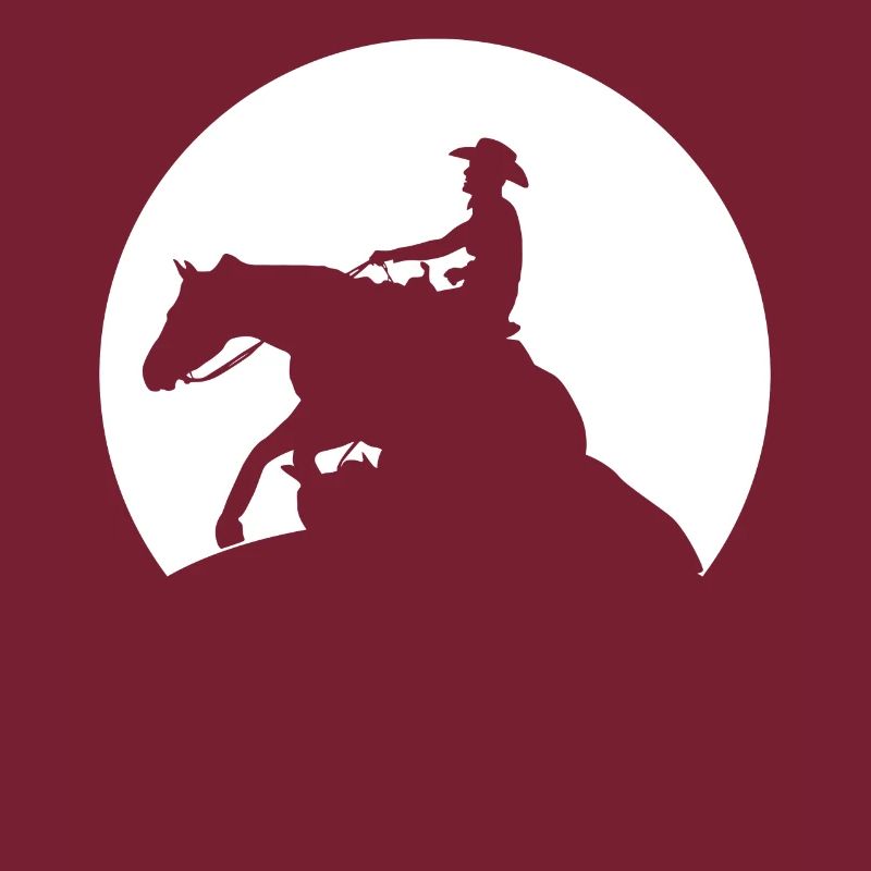 Reining Moon Riding Western Riding
