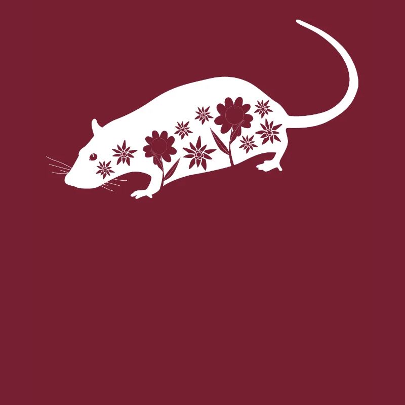 Ratte Ratten Maus Mäuse