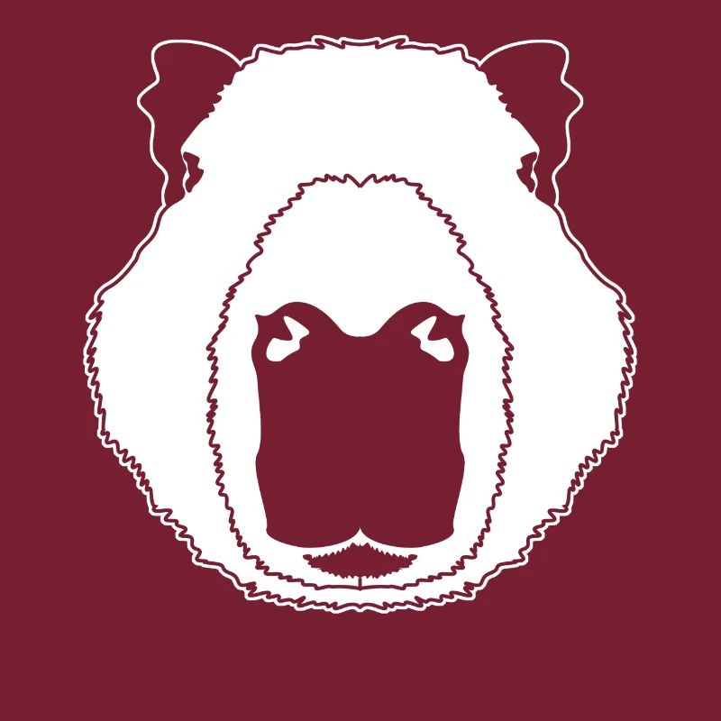 Capybara Funny Capybaras