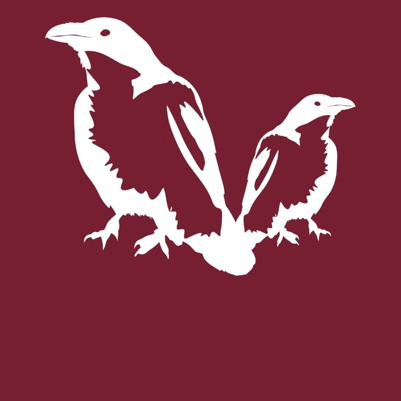 Ravens Crows Crow Raven