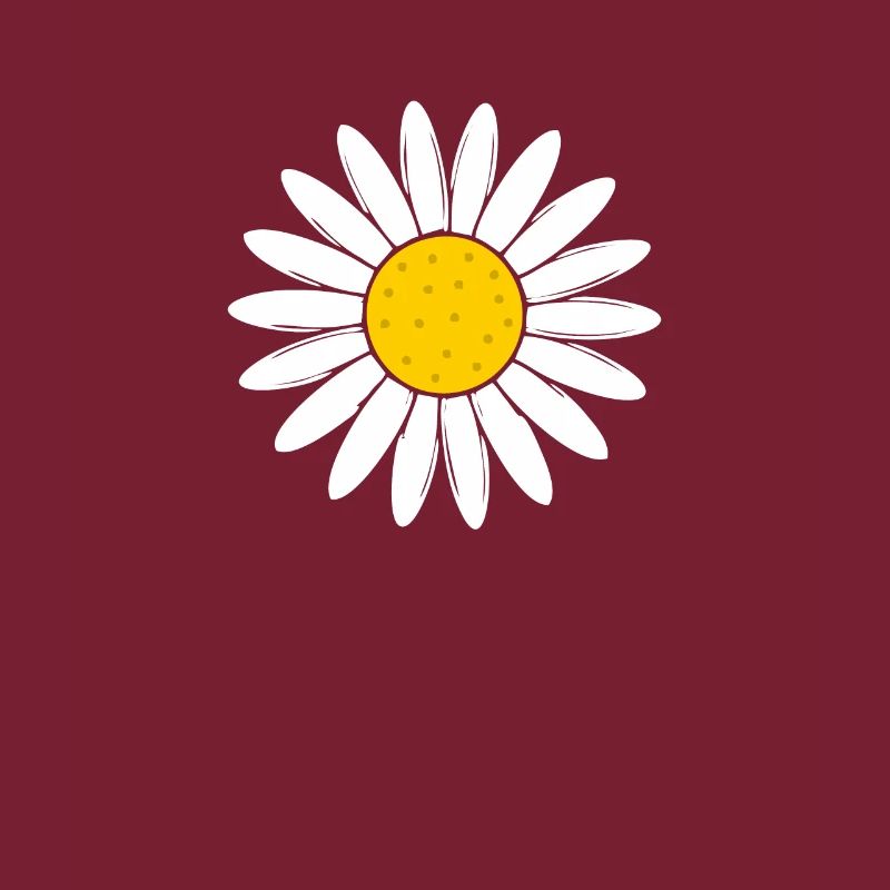 Daisy flower