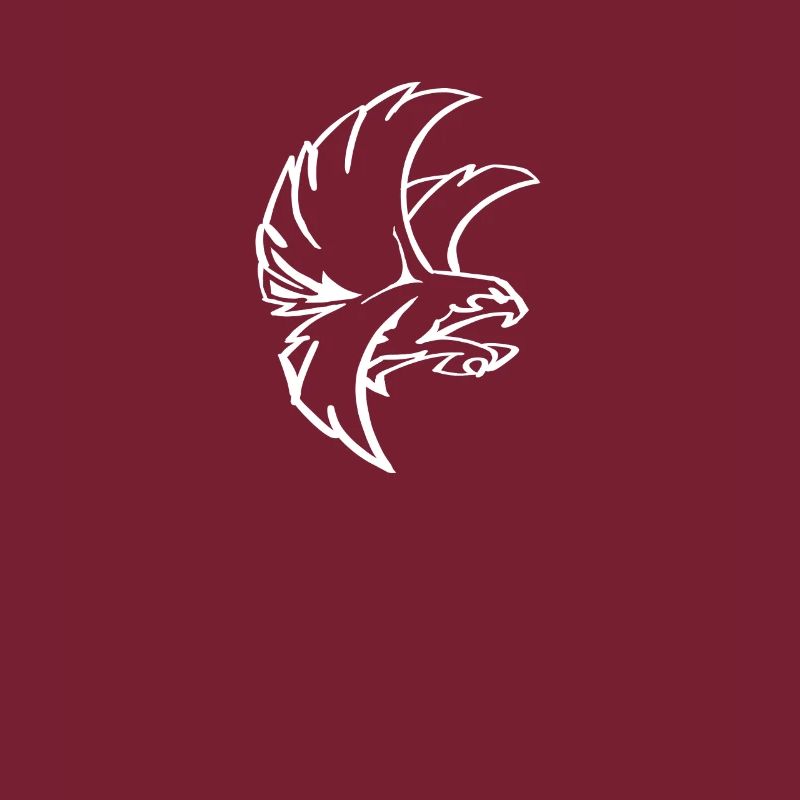 Very cool eagle or hawk motif as a gift