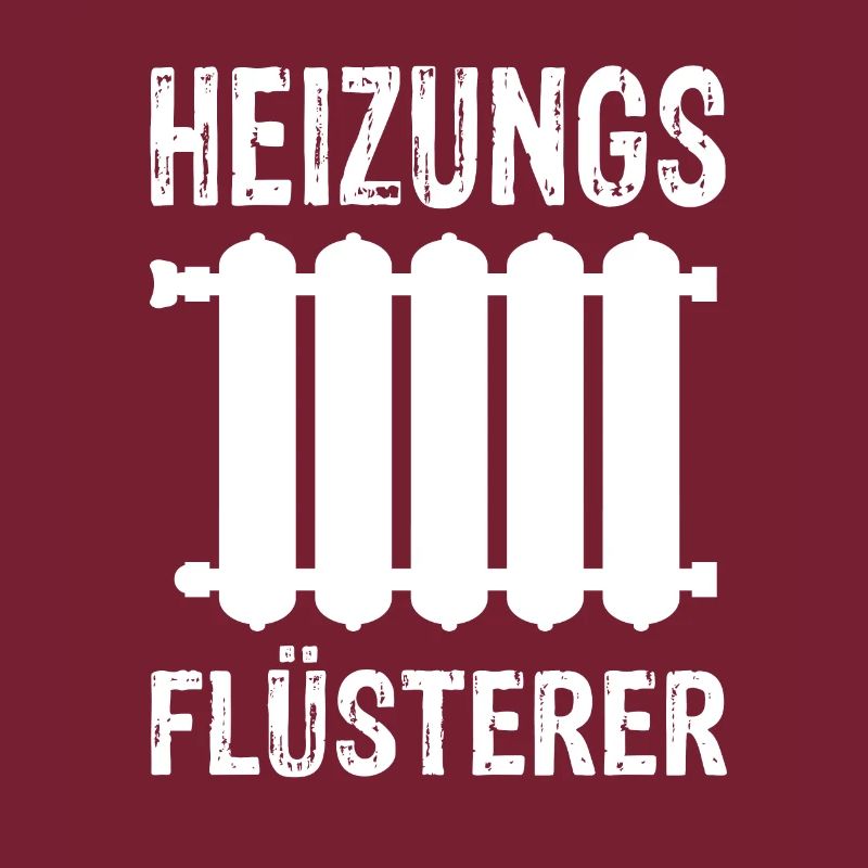 Heizung Flüsterer