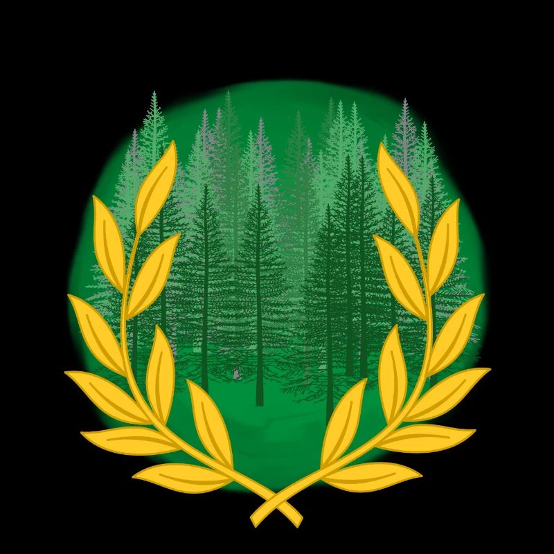 Forest Fir Spruce Spruce Trees Tree Wilderness Wood