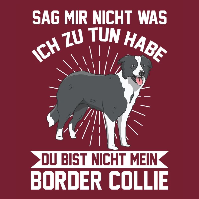 Hunde Hundebesitzer Border Collie