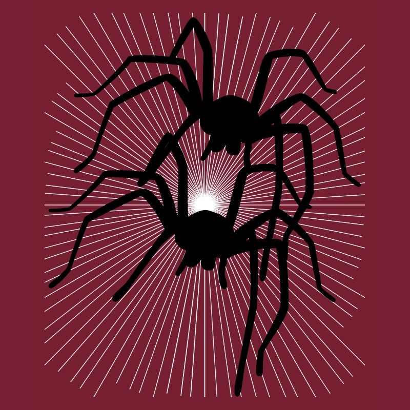 Spinne Spinnen Tiere Kriechen krabbeln Ekel Horror