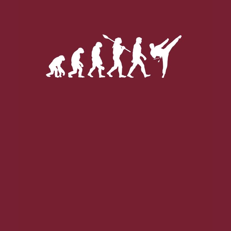Evolution Karaté Taekwondo Aikido Arts Martiaux
