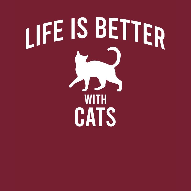 Dicton de chat