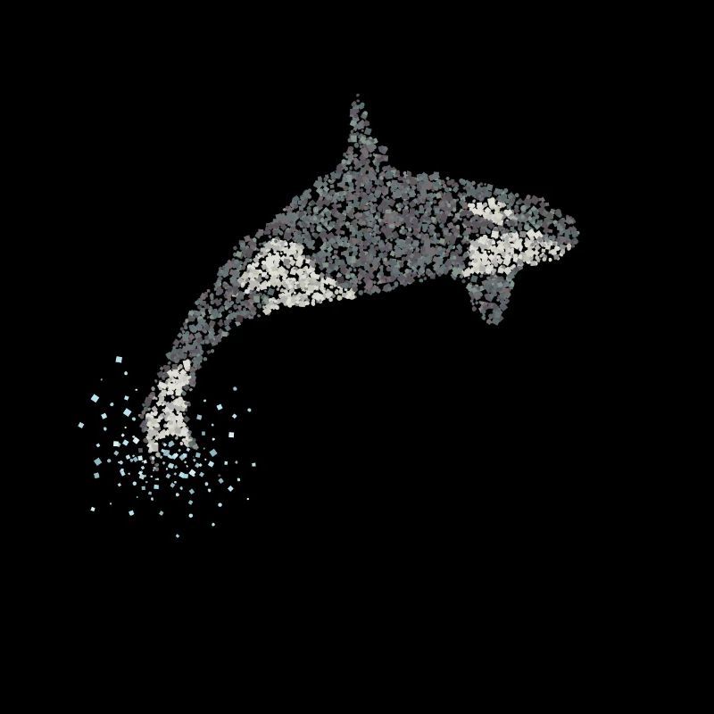 Orka Orca Killerwal Mörderwal Wale