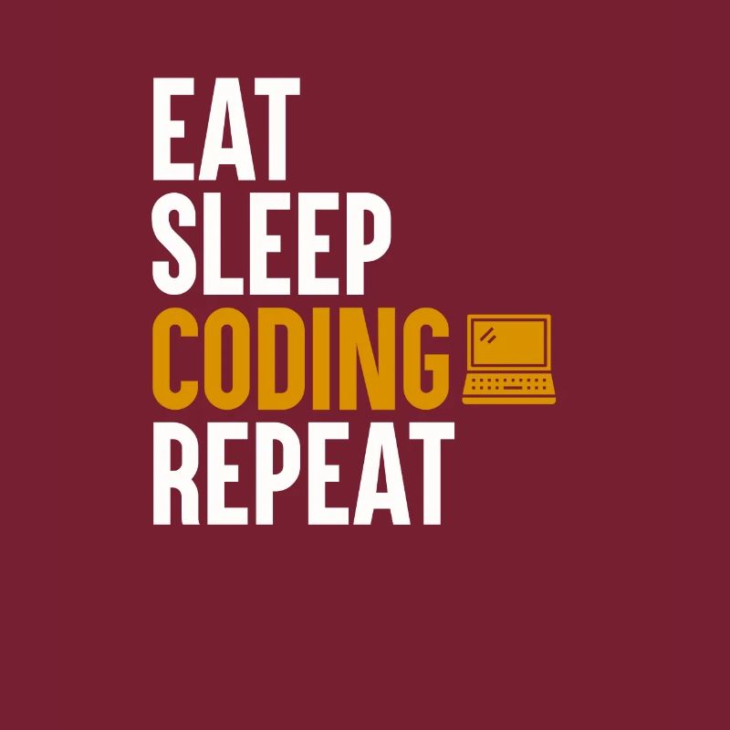 Programmeur Codage Développeur Informatique