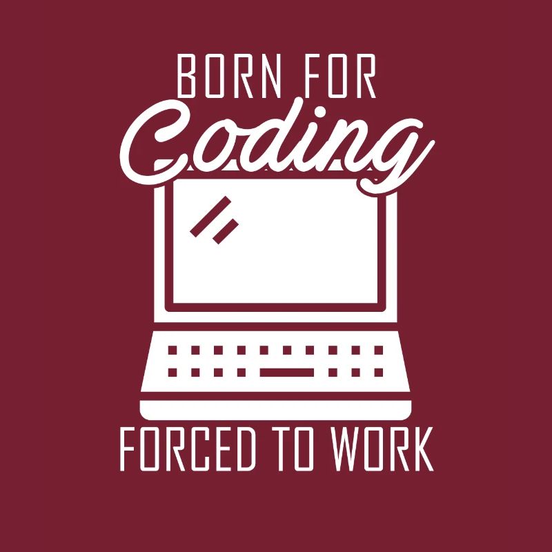 Coding Programmer Coder Software Developer