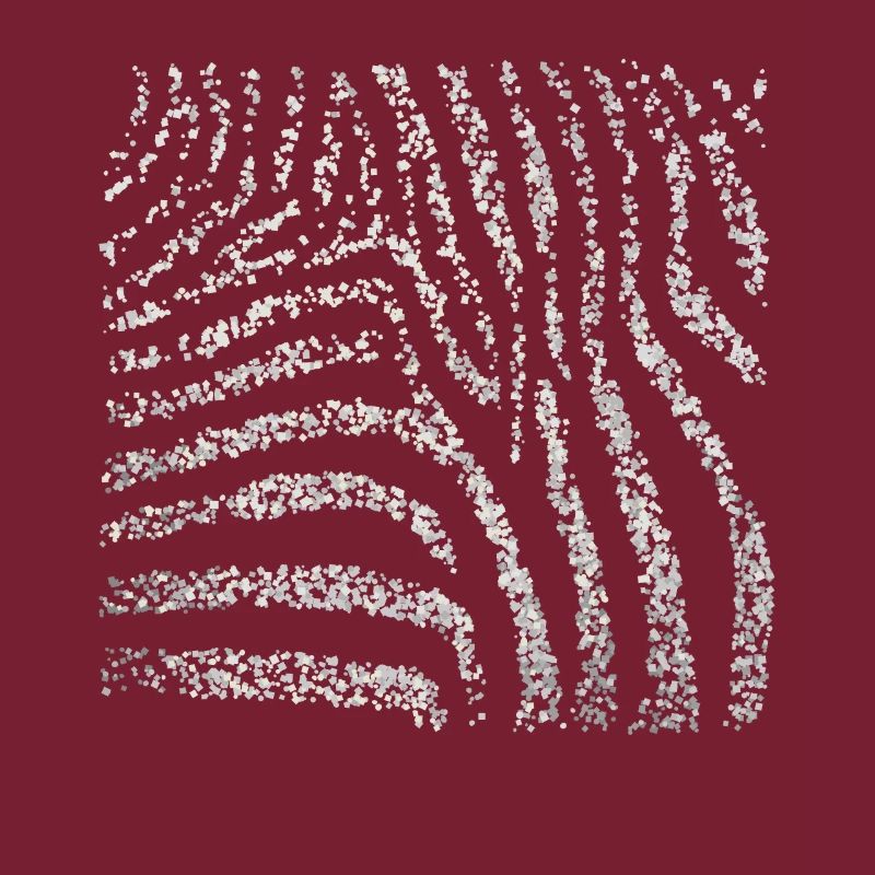 Zebra Zebra Crossing Pattern Costume Remplacement Carnaval