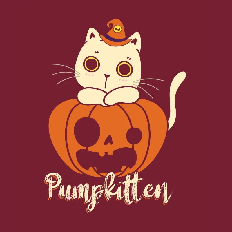 Pumpkitten Kürbis Süßes Oder Saures Katze