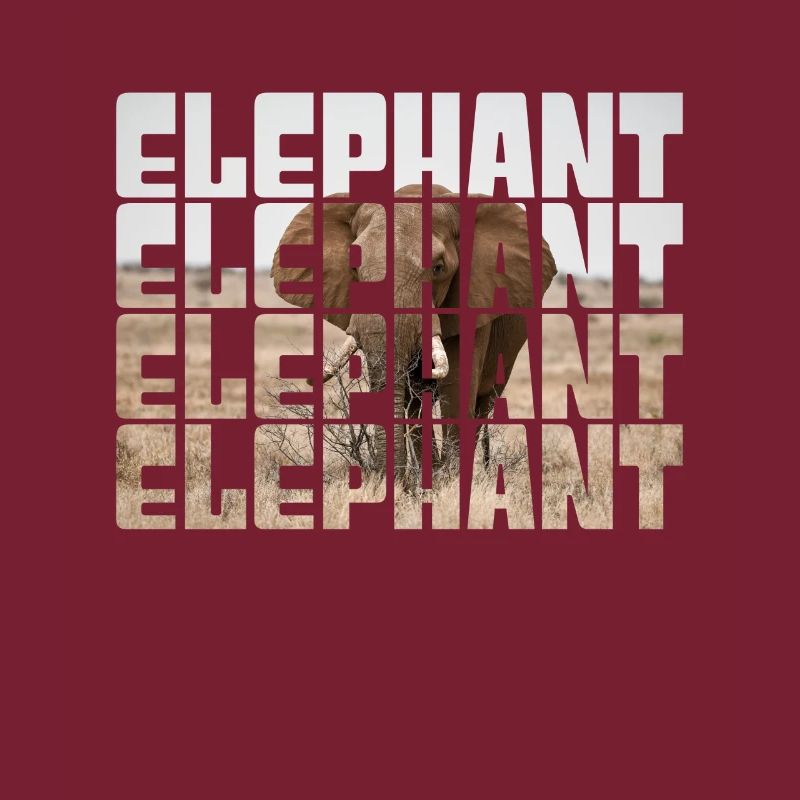 Elefant