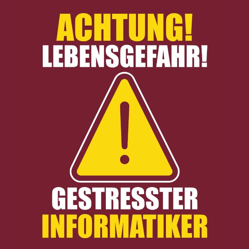 IT Fachmann Informatik Informatiker Programmierer